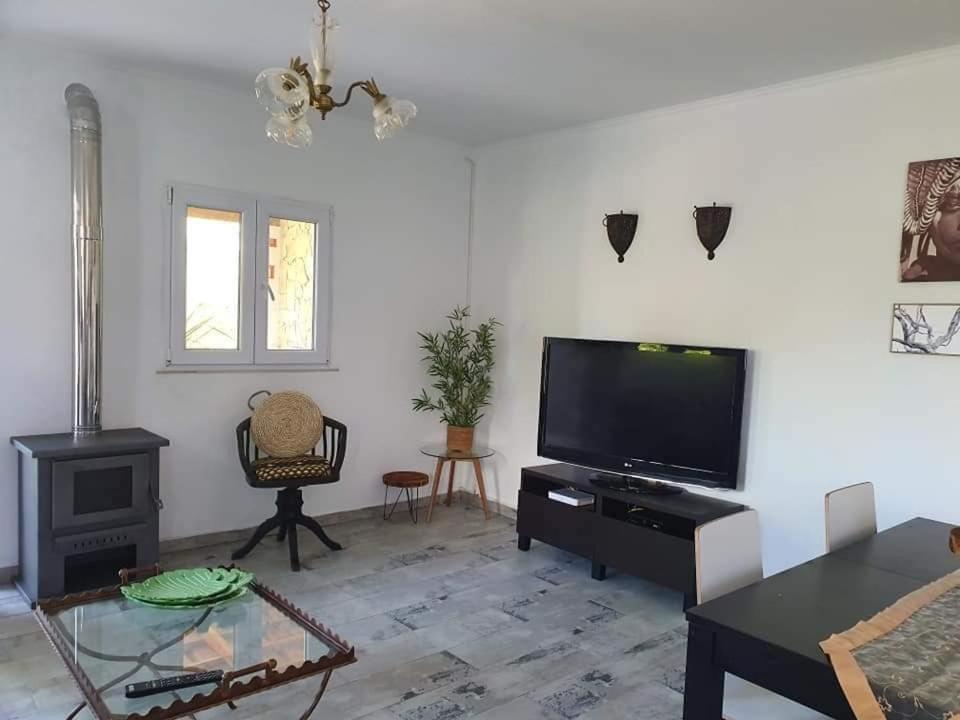 Holiday home Quinta Do Benjamim - Tejo 