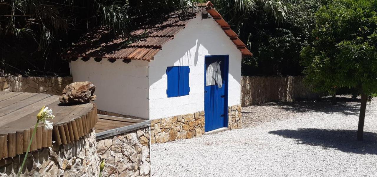 Quinta Do Benjamim - Tejo 