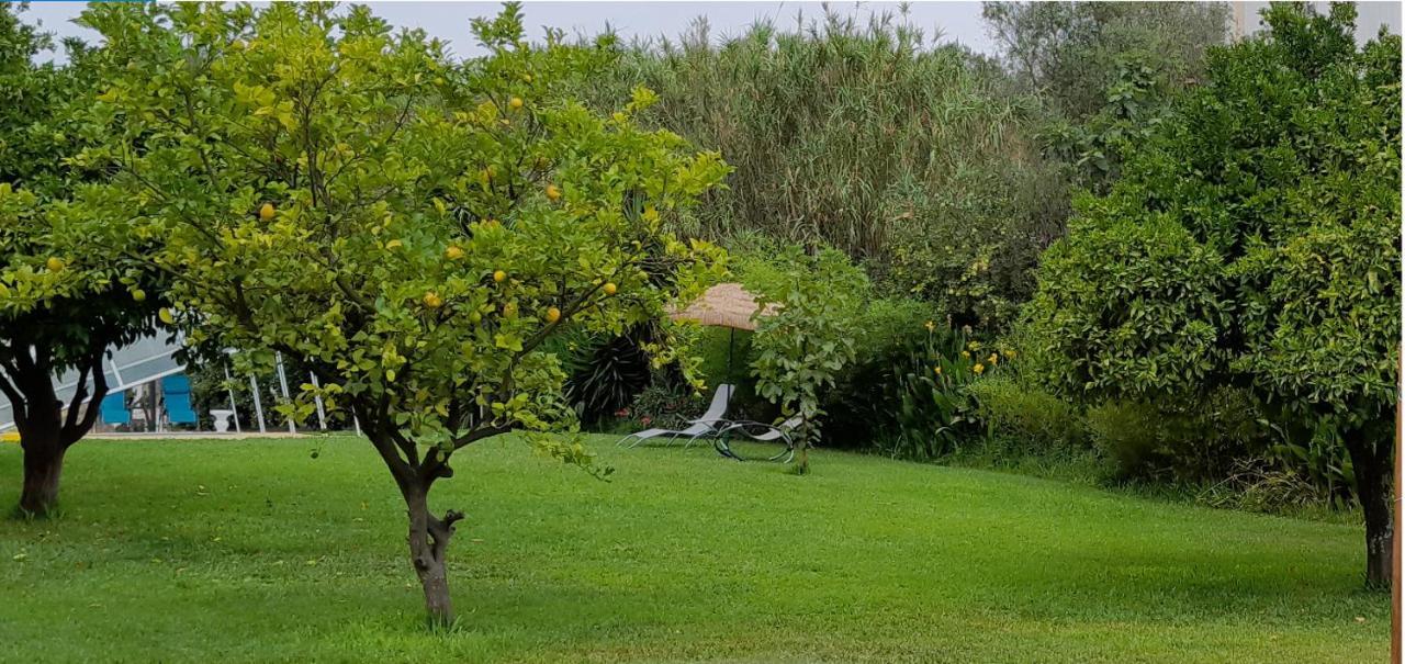Quinta Do Benjamim - Tejo 