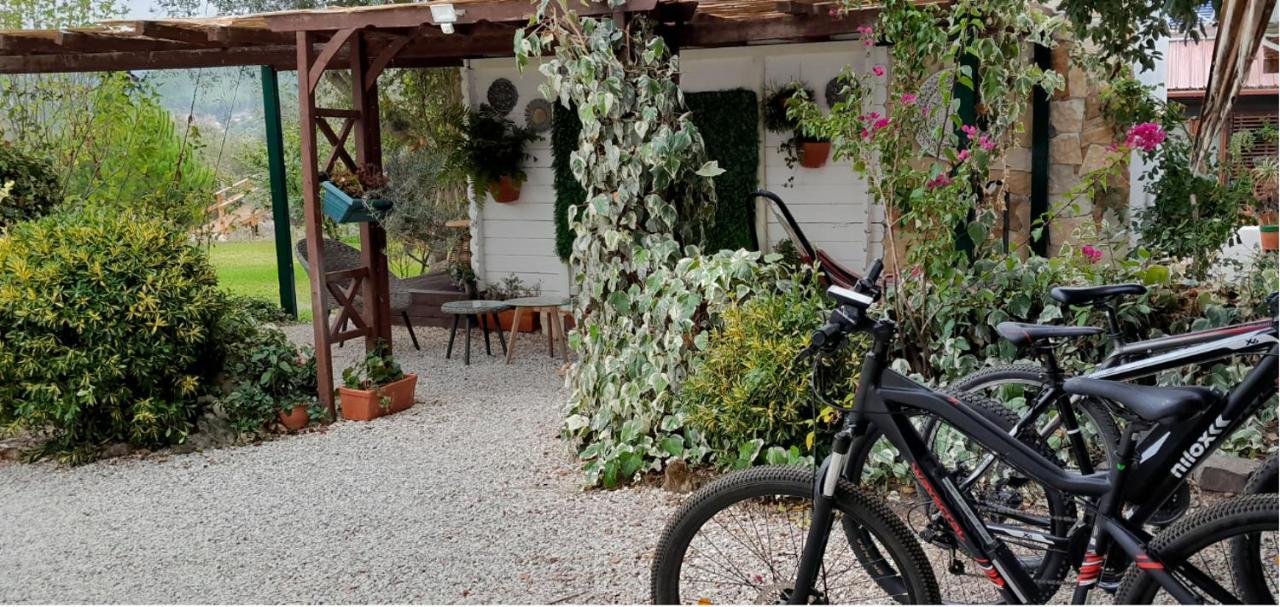 Quinta Do Benjamim - Tejo 