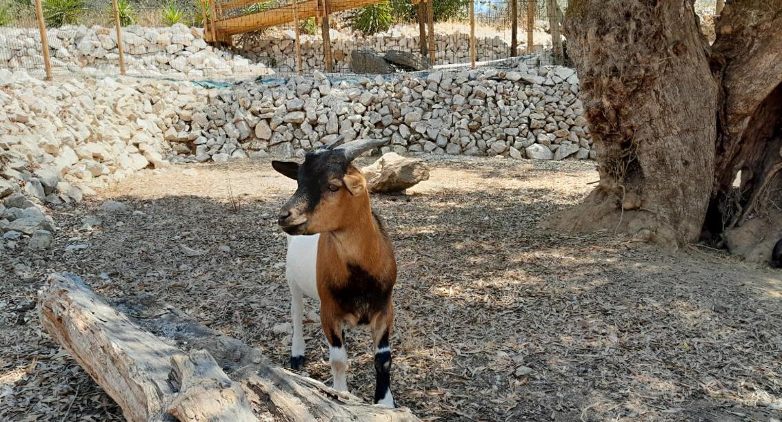 Quinta Do Benjamim - Tejo 
