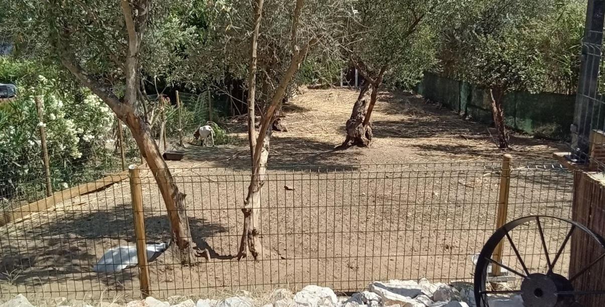 Quinta Do Benjamim - Tejo 