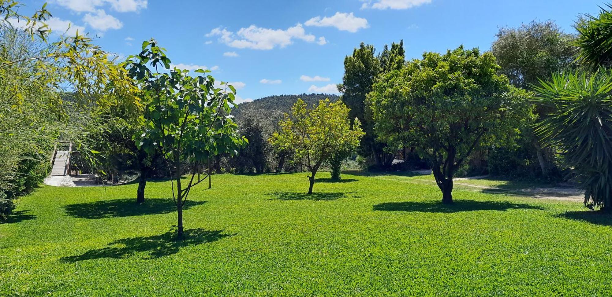 Quinta Do Benjamim - Tejo 