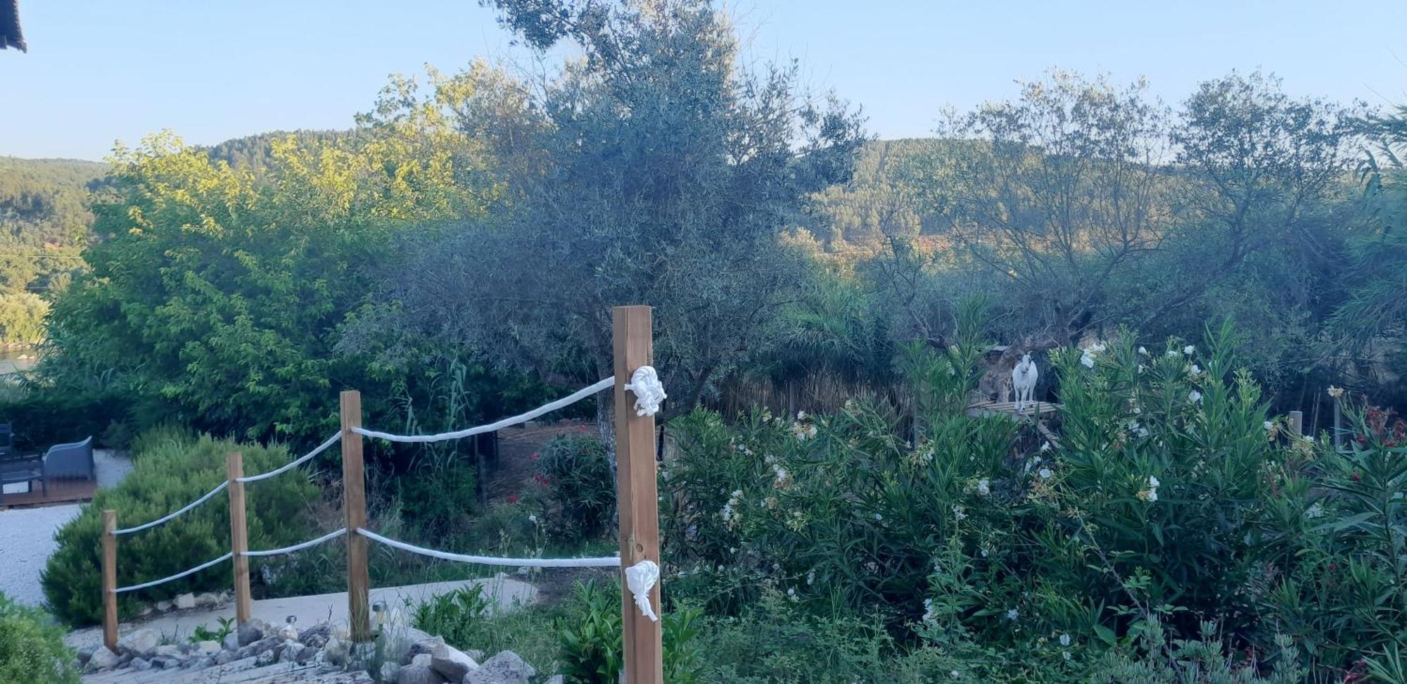 Ferienhaus Quinta Do Benjamim - Tejo 