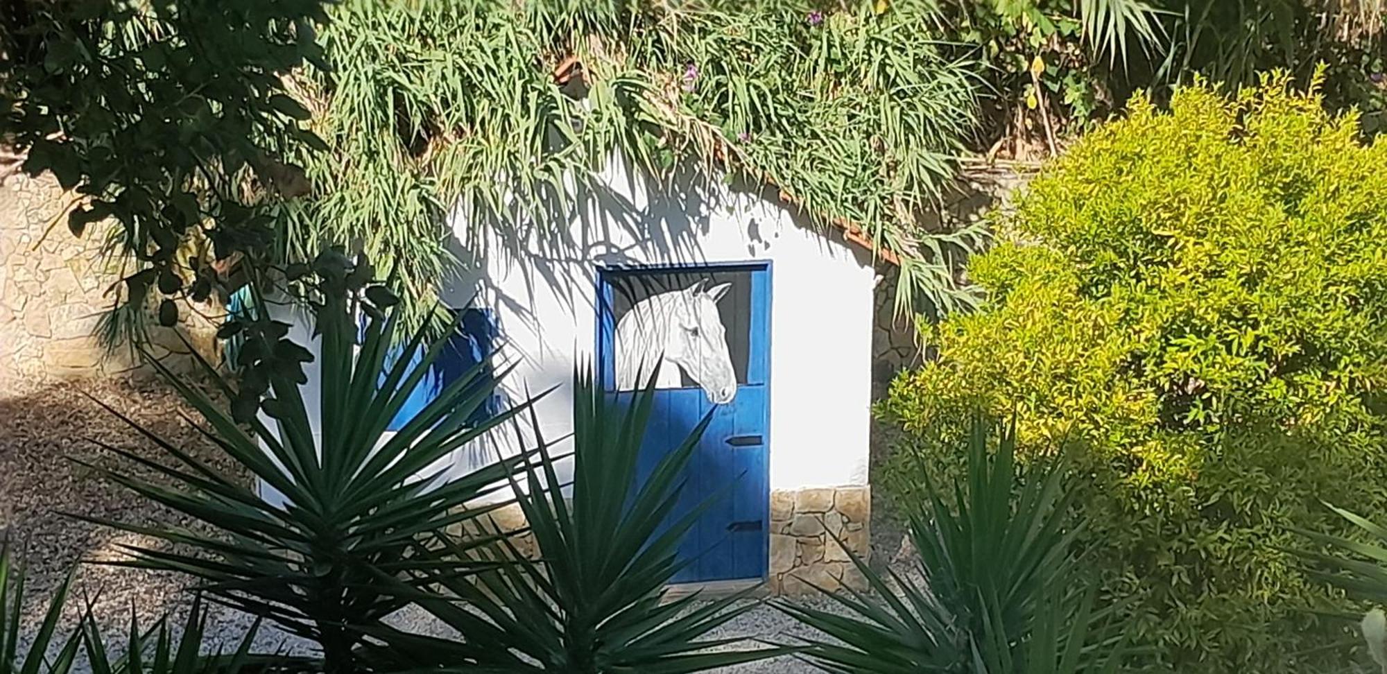 Quinta Do Benjamim - Tejo 