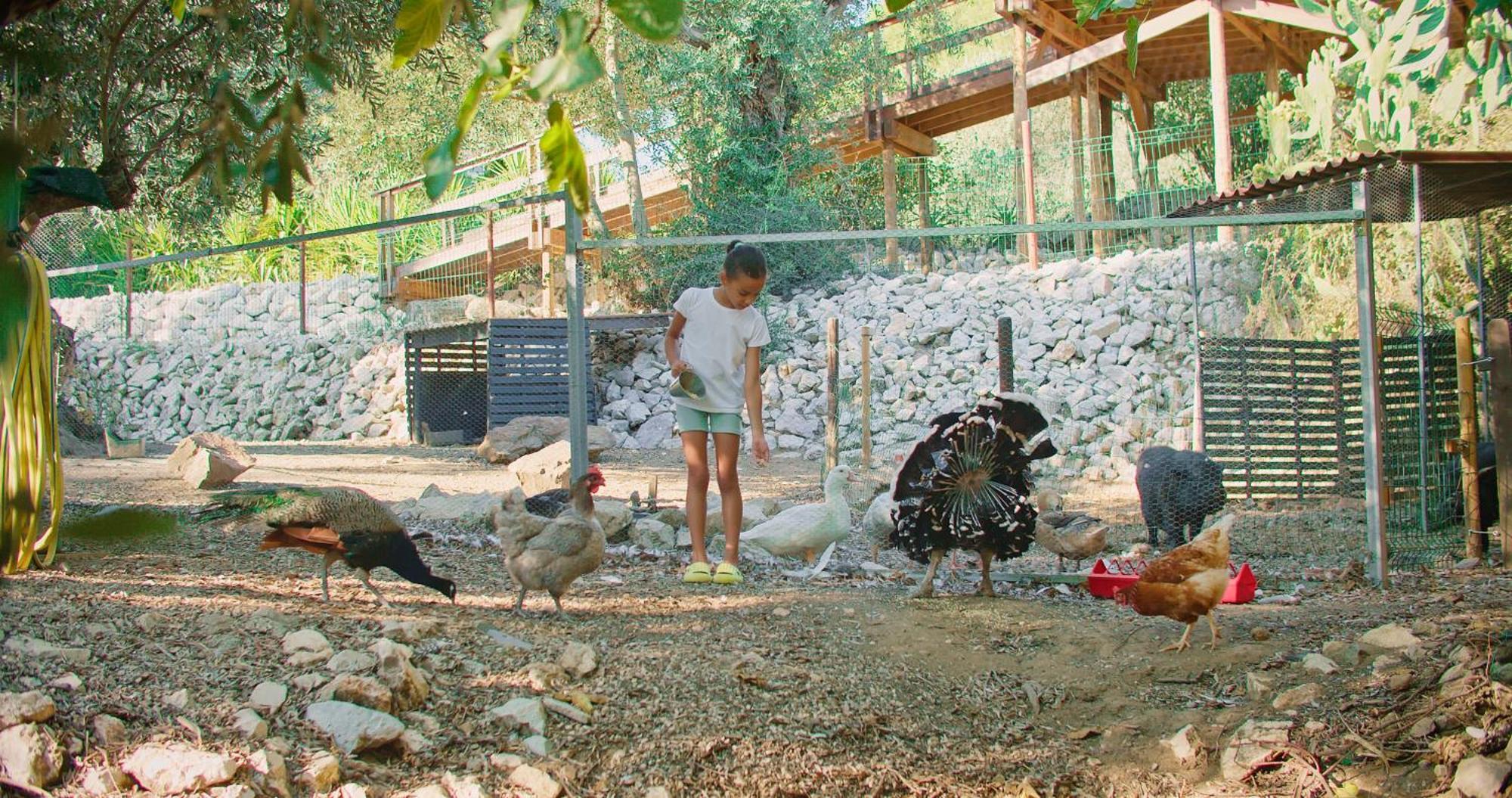 Ferienhaus Quinta Do Benjamim - Tejo 