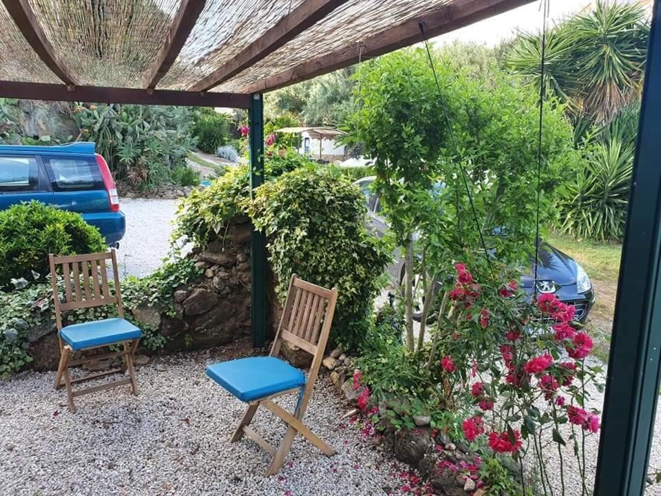 Quinta Do Benjamim - Tejo 