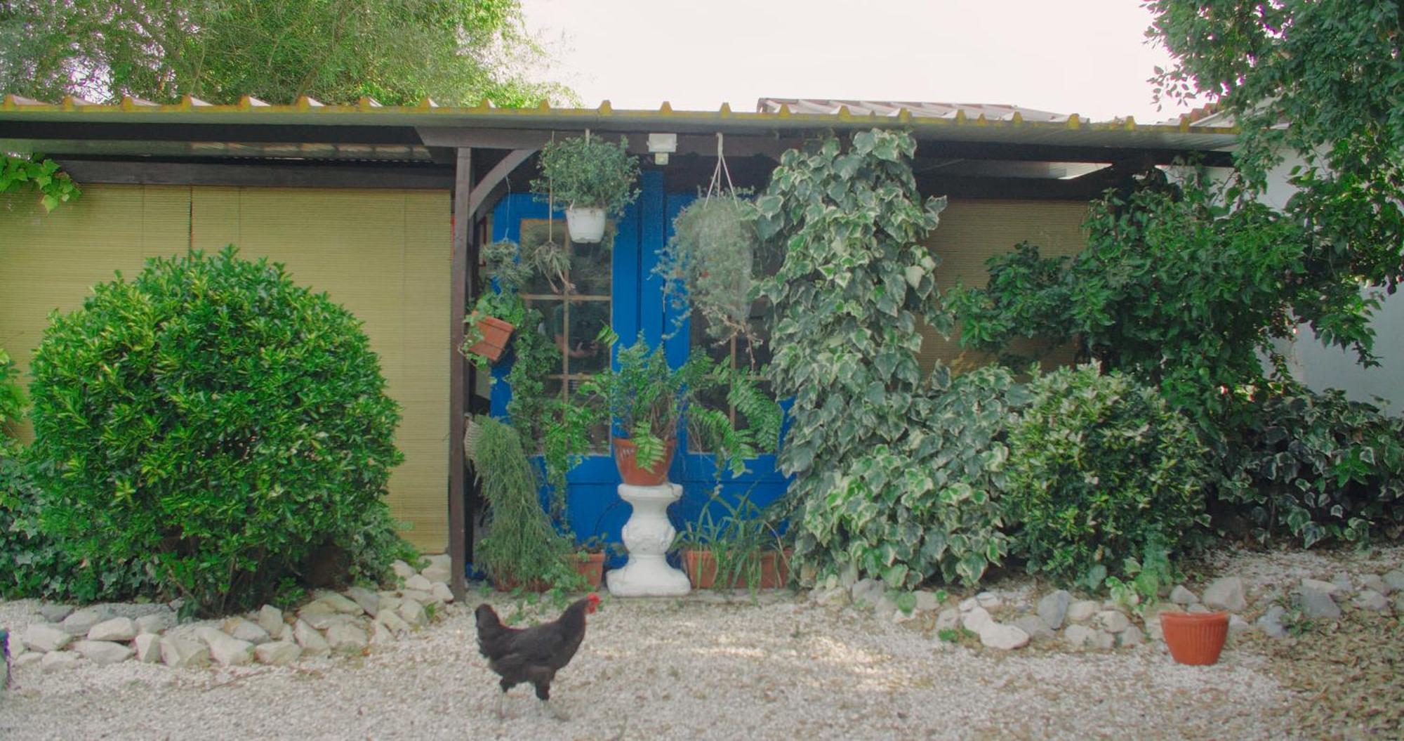 Quinta Do Benjamim - Tejo 